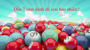 dau-cam-7-hom-sau-danh-con-gi