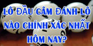 lo-dau-7-cam-danh-con-gi-de-trung